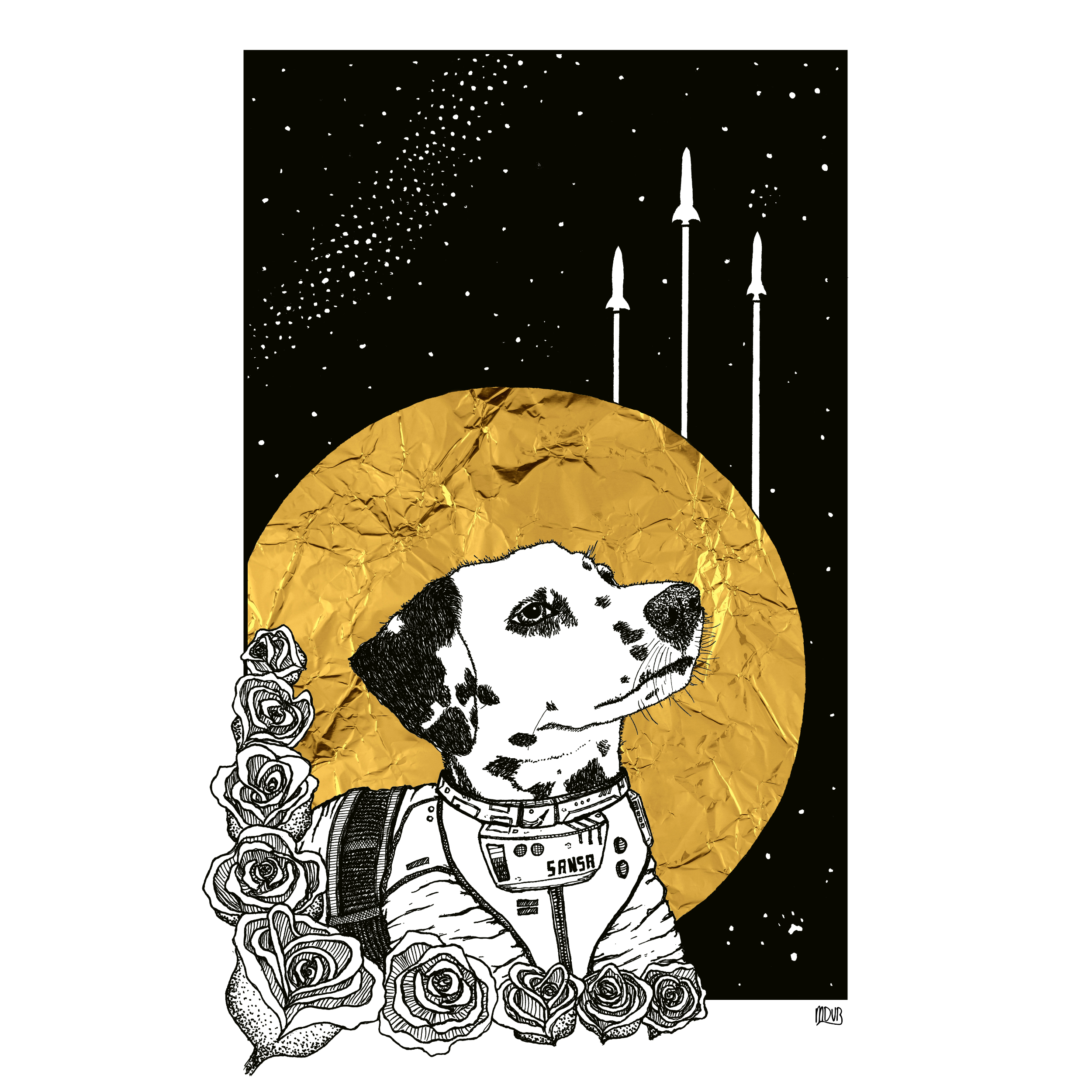 Cosmonaut Sansa