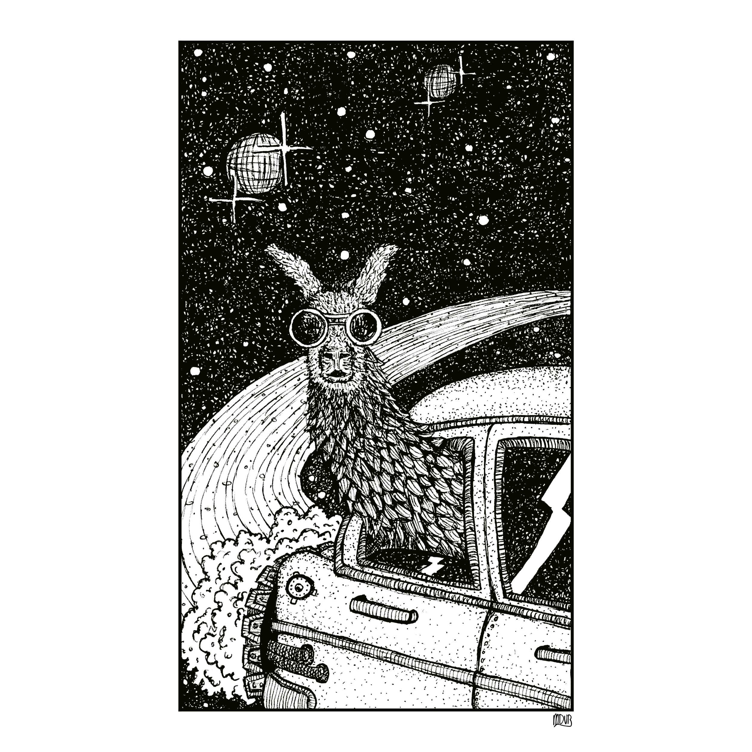 Galactic Llama